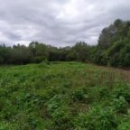 image00